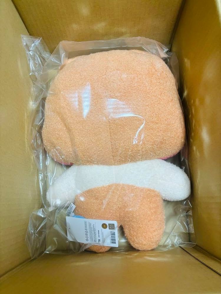 Amazon.co.jp: ZEROBASEONE zeroni フラットぬいぐるみ binini